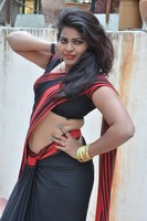 Sitara Saree Photos